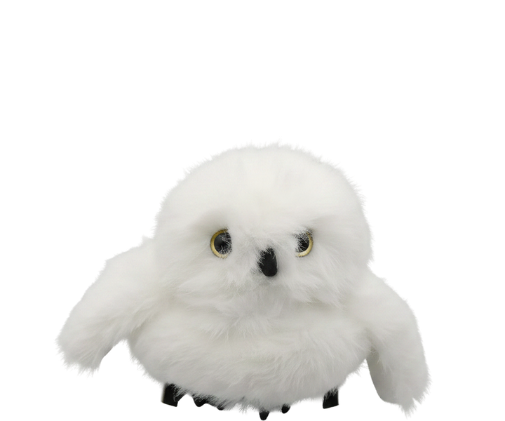 Owlbert Einstein on a helmet